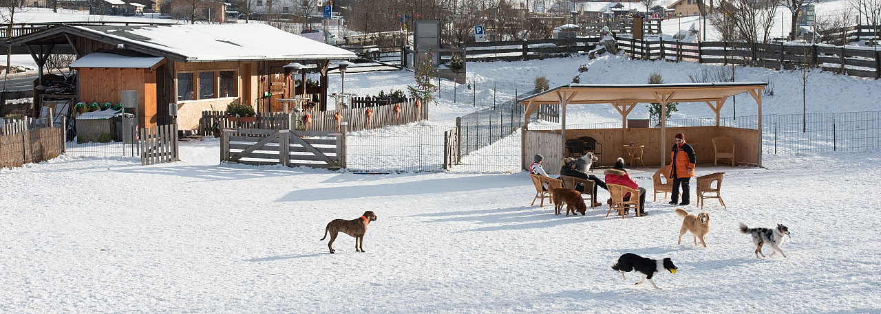 Hundeplatz Grimming