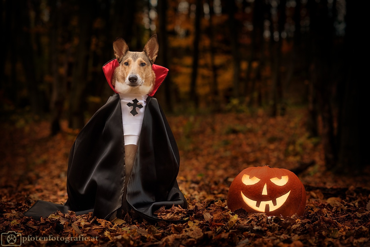 Halloween Shooting mit Ronja